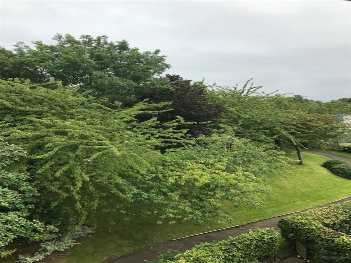 Property to rent in Barnton, EH4, Barntongate Terrace properties from Citylets 452314