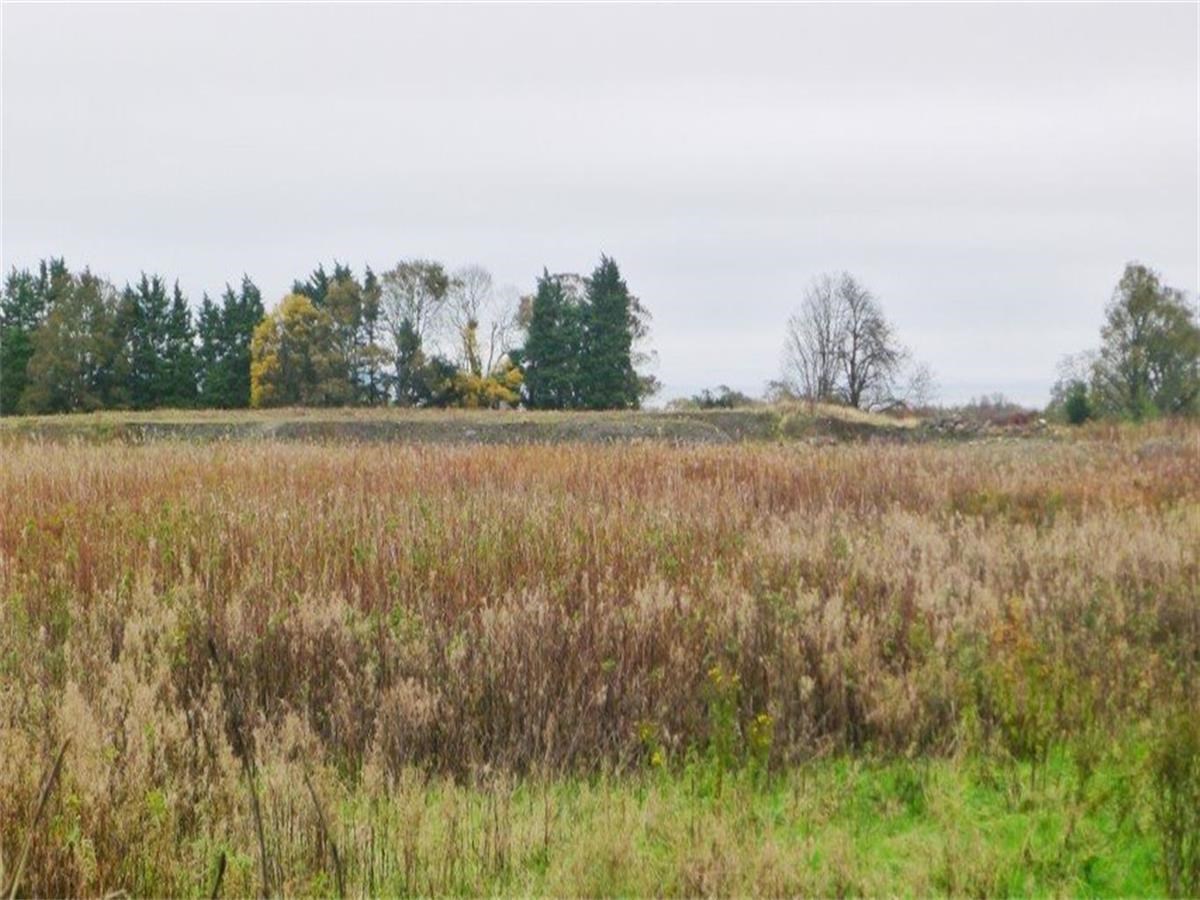 Property to rent in Cramond, EH4, Cramond Road North properties from