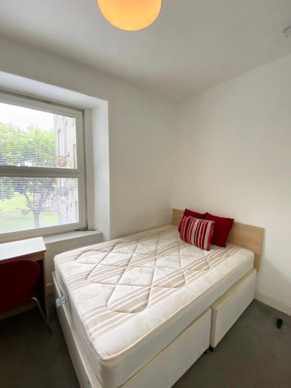 Property to rent in Baxter Park, DD4, Park Avenue properties from