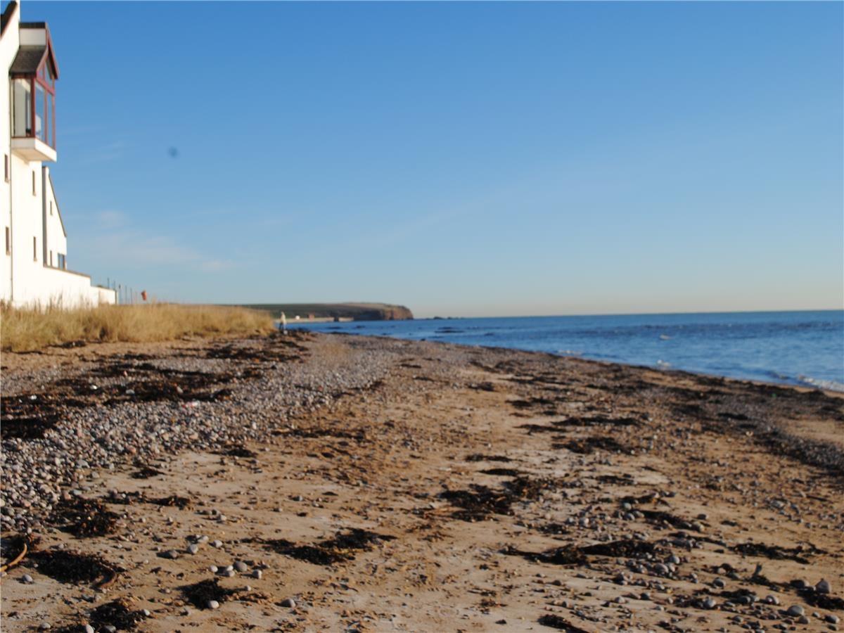 Property to rent in Arbroath, DD11, Seagate properties from Citylets