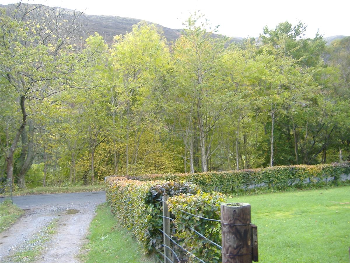 Property to rent in Aberfeldy, PH15, Bondhu Cottage properties from