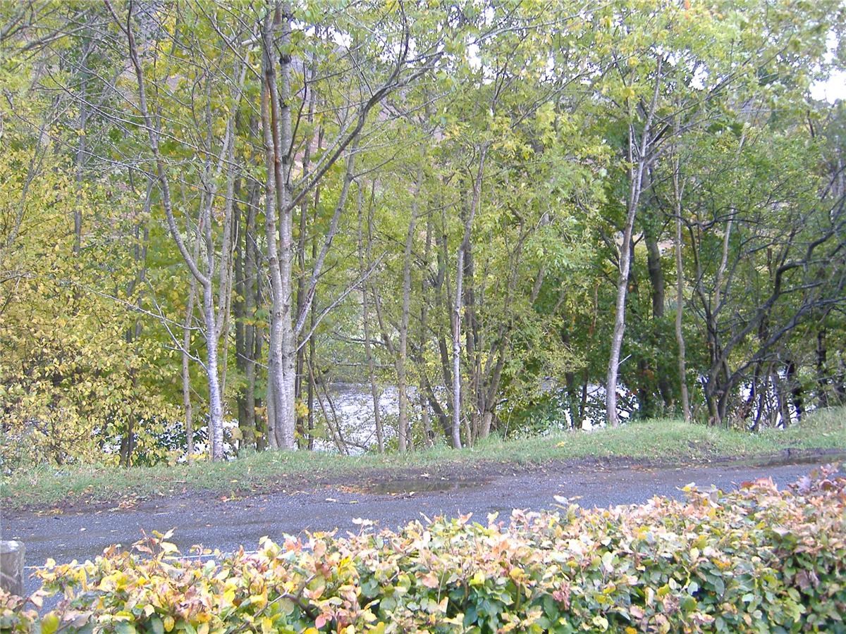 Property to rent in Aberfeldy, PH15, Bondhu Cottage properties from