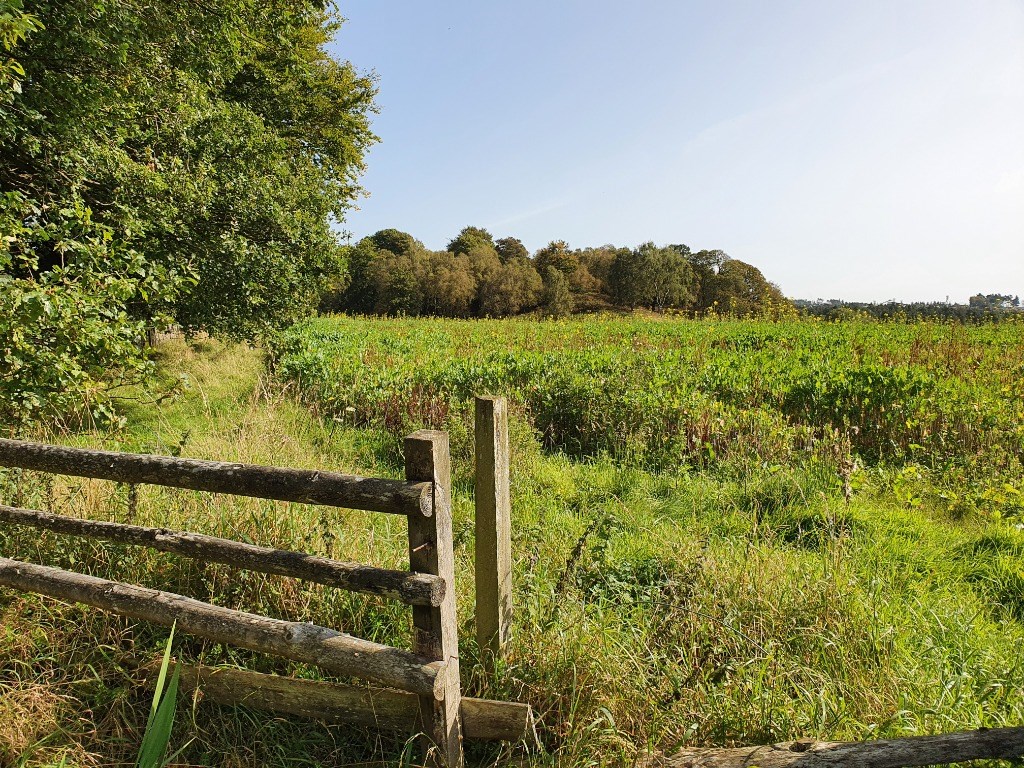 Property to rent in Alloa, FK10, Brucefield Estate properties from