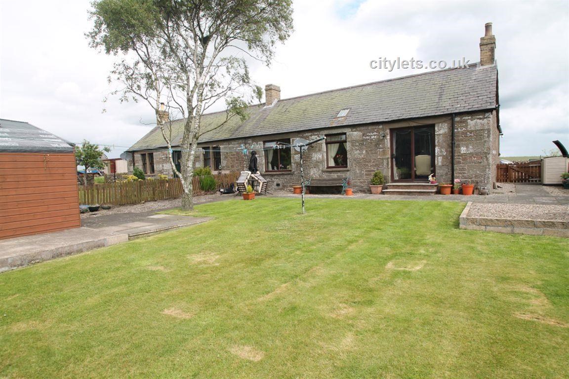 Property to rent in Carnoustie, DD11, Carmyllie properties from