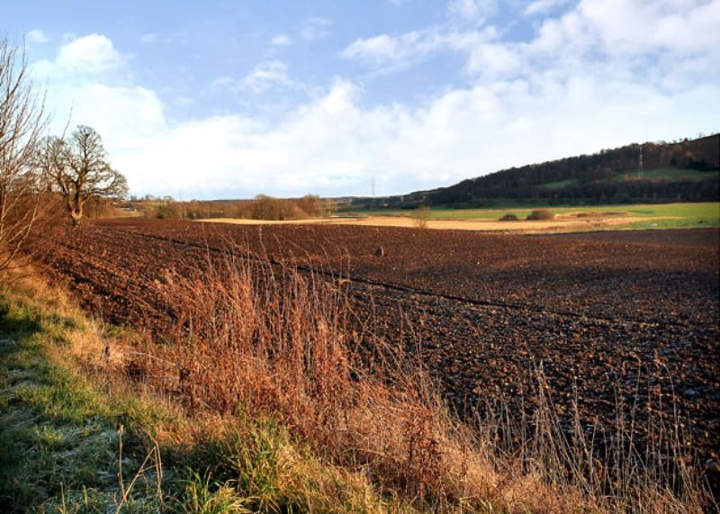 Property to rent in Blackburn, AB21, Hatton Of Fintray properties from