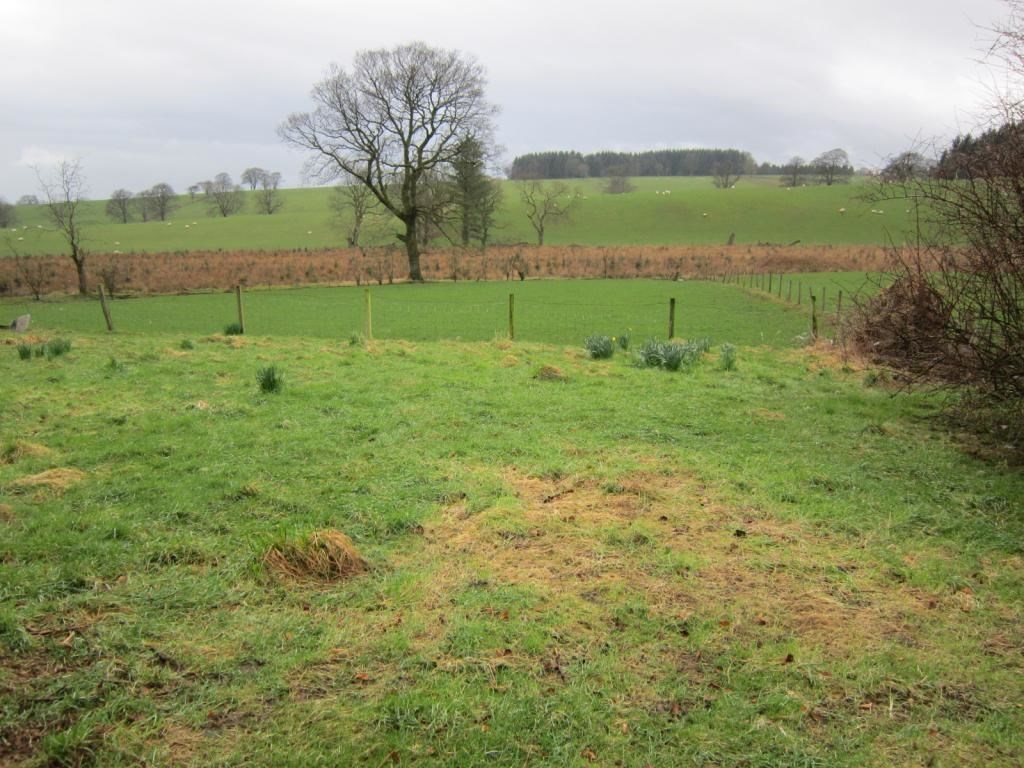 Property to rent in Lockerbie, DG11, Kirkbank Road properties from