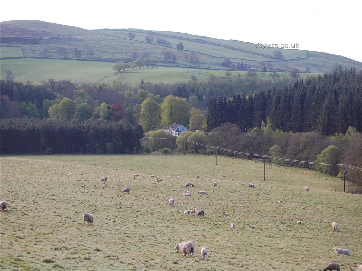 Property to rent in Galashiels, TD1, Torwoodlee properties from